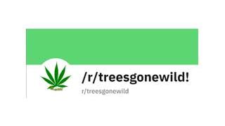 title